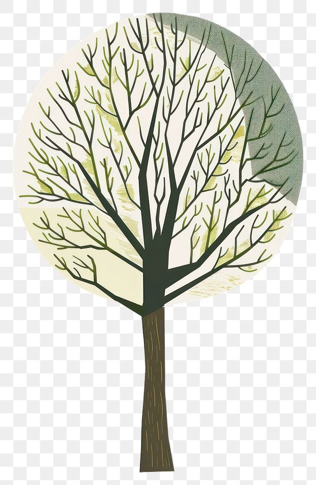 PNG Gree tree illustrated painting drawing