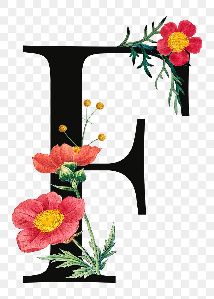 PNG floral letter F digital art illustration, transparent background