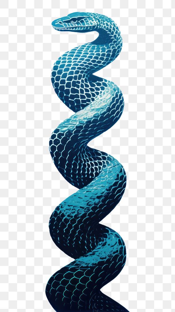 PNG Snake reptile spiral animal.