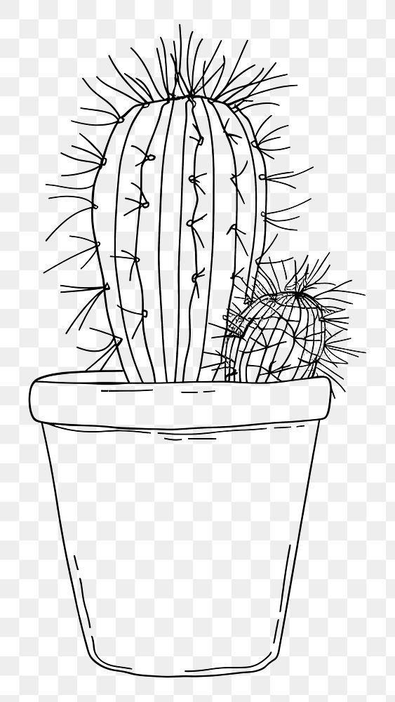 PNG Hand drawn of cactus drawing sketch cartoon.