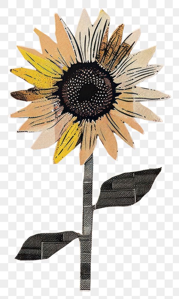 PNG Sunflower collage illustration painting.