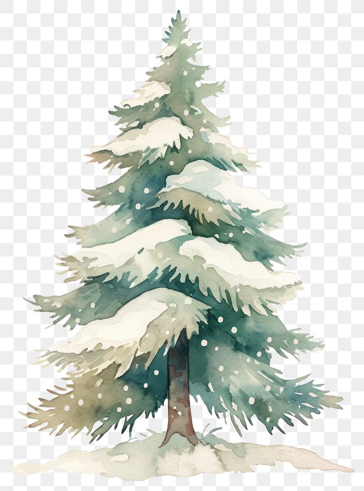 PNG Simple pine tree with snow covered art illustration watercolor.