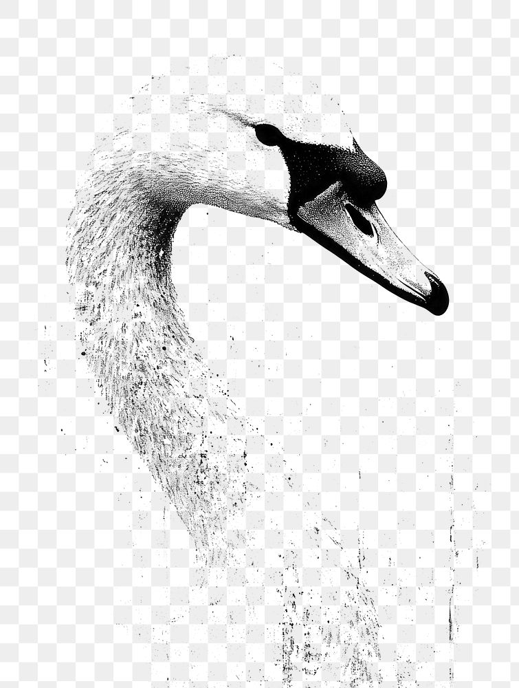 PNG Swan retro photocopy stipple effect bird illustration minimalist.