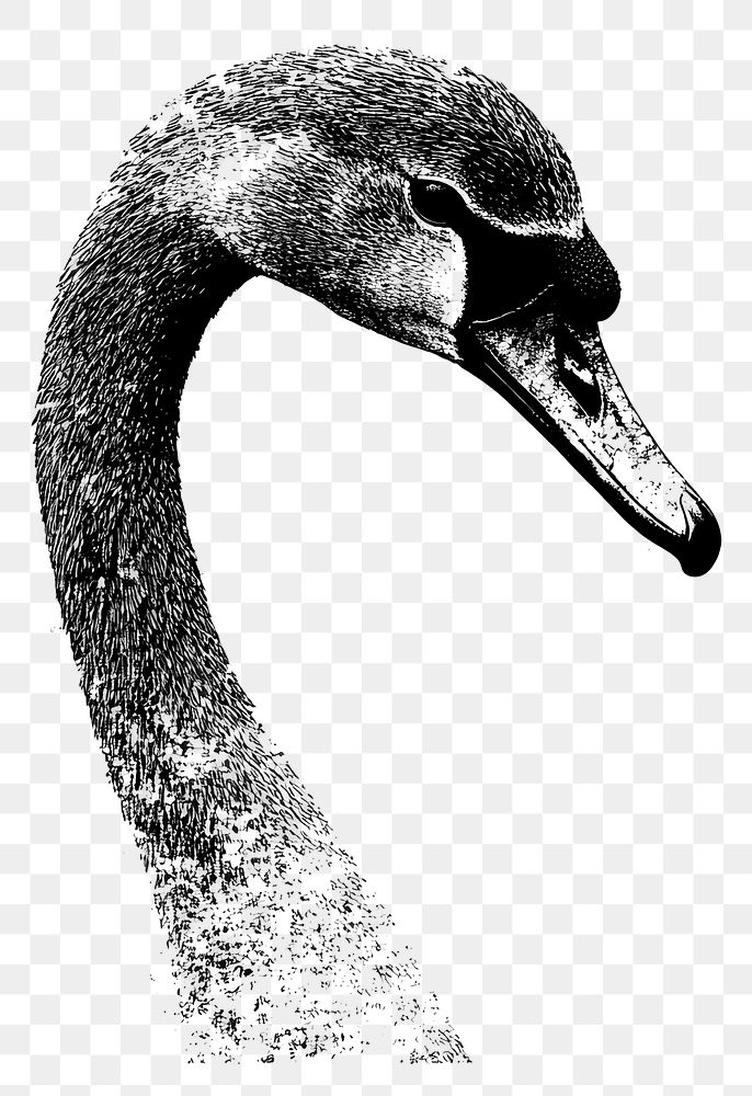 PNG Swan retro photocopy stipple effect animal bird illustration.