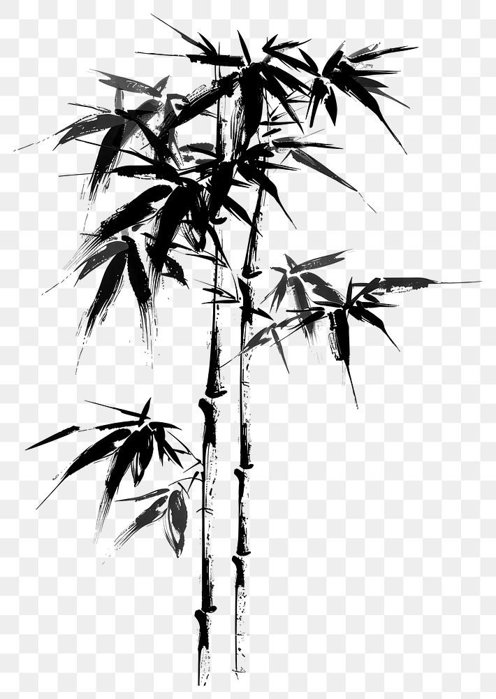 PNG Bamboo tree bamboo plant style.