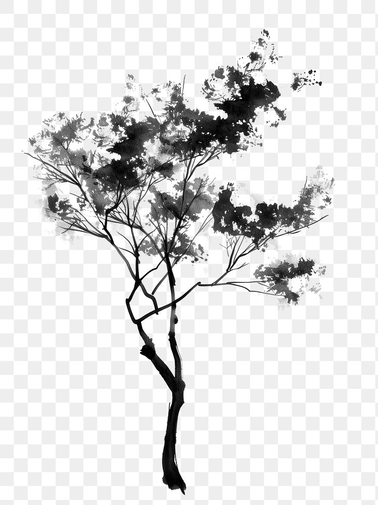 PNG Maple tree black white art.