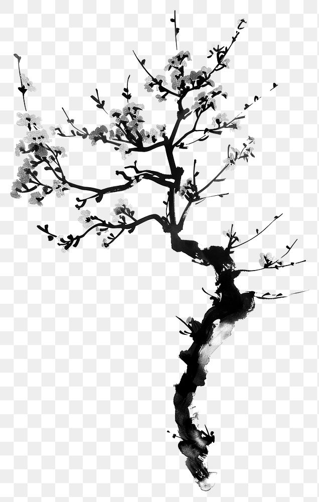 PNG Sakura tree black white Free PNG Illustration rawpixel