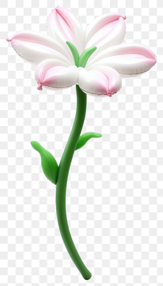 PNG Lily balloon flower design.