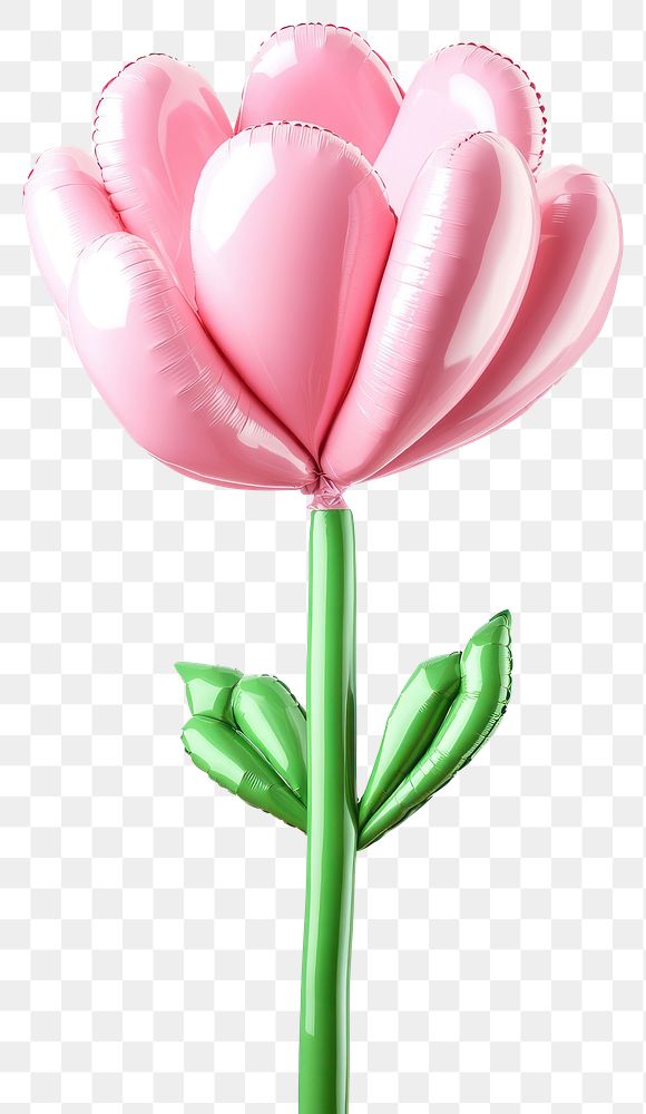 PNG Peony balloon petals flower.