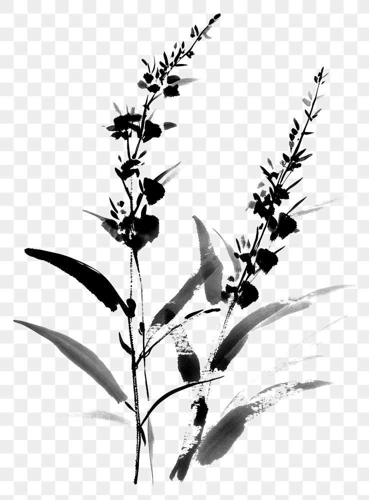 PNG Herbs black white style.