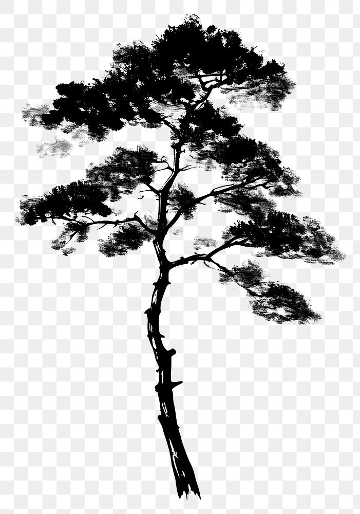 PNG Pine tree silhouette black white.