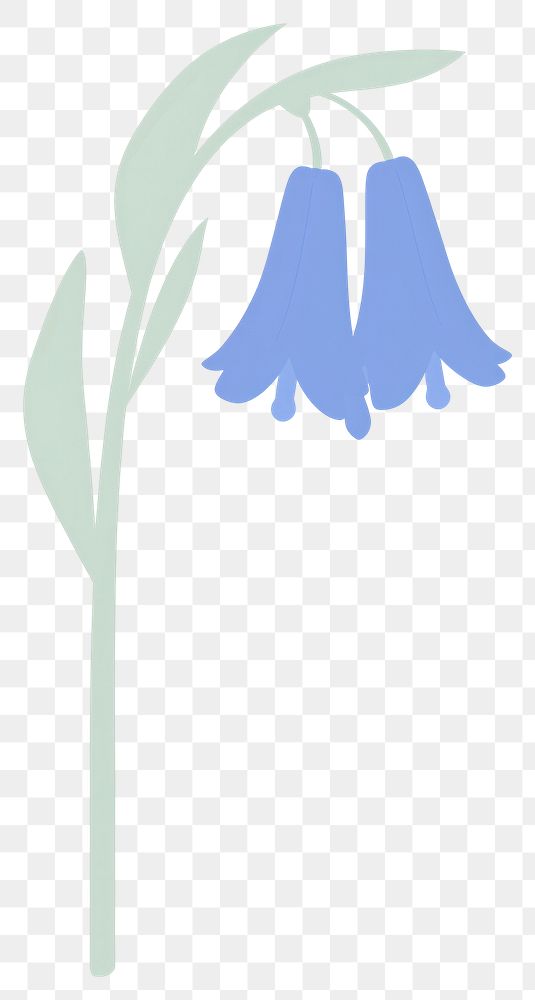 PNG California bluebell flower illustration simple plant.