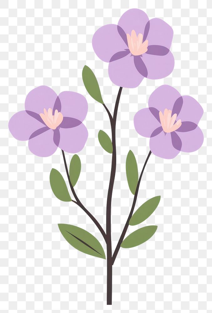 PNG Lavender flowers art illustration.