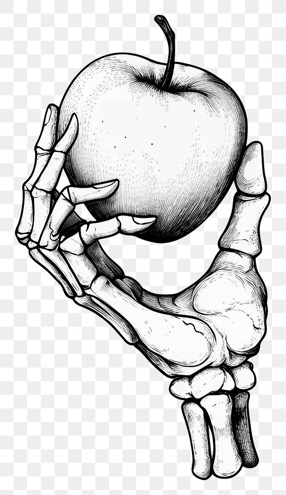 PNG Hand bone holding an biten apple art illustration drawing.