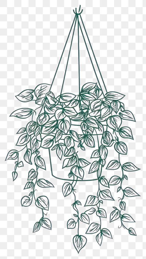 PNG Hanging plants art illustration green.