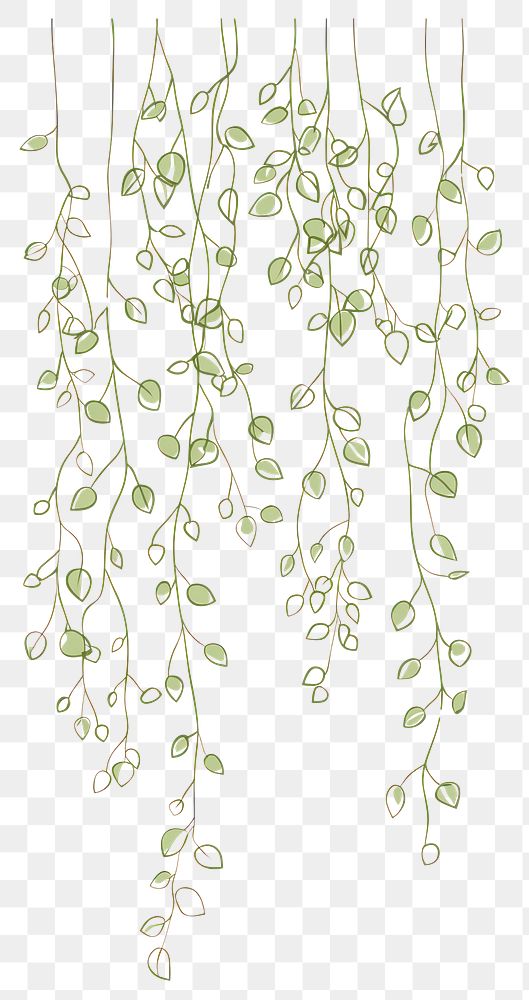 PNG Hanging string of pearls art illustration simple.