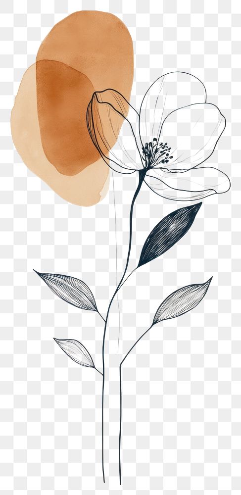 PNG Single-line olive flower art minimalist background.