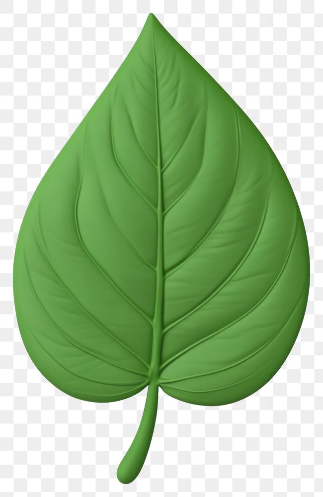 PNG Green leaf illustration art eco-friendly.