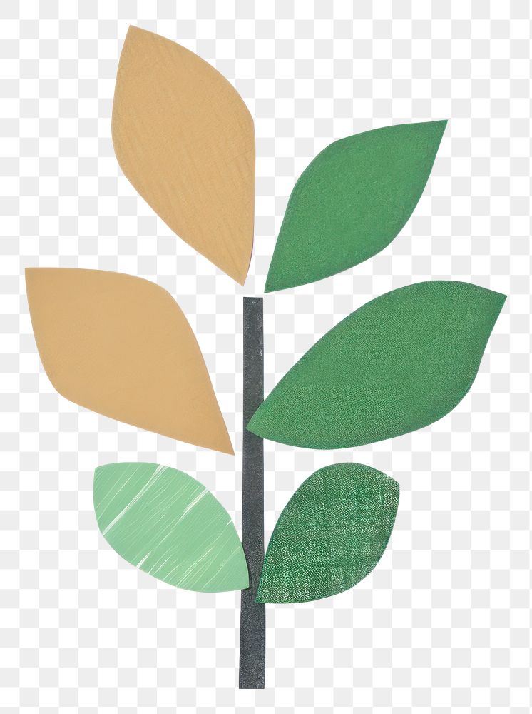 PNG Green plant illustration collage paper.