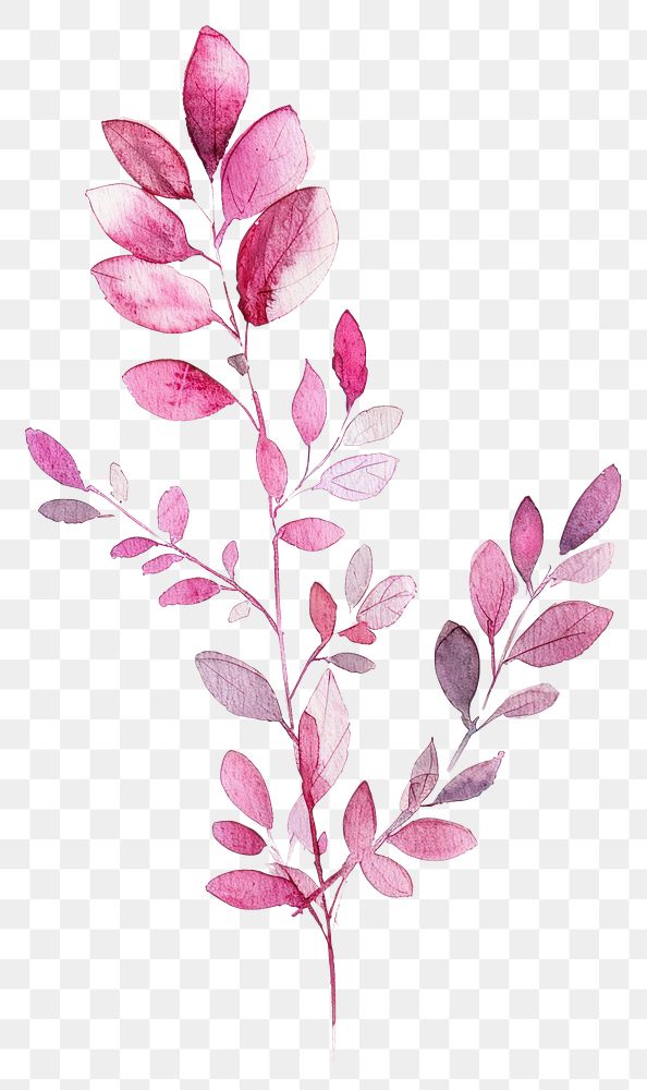 PNG Tiny pink leaves leaf watercolor art.