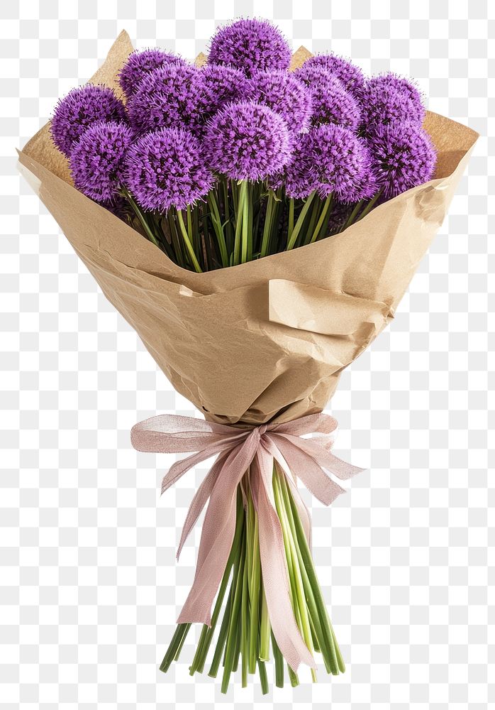 PNG Flowers bouquet purple allium.