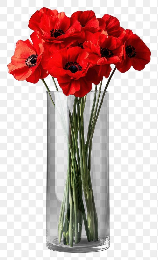 PNG Red flowers bouquets glass vase arrangement.