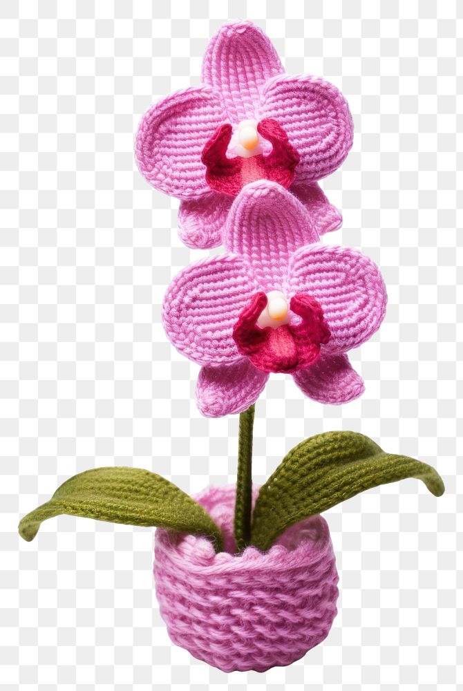 PNG Orchid knitted flower plant.