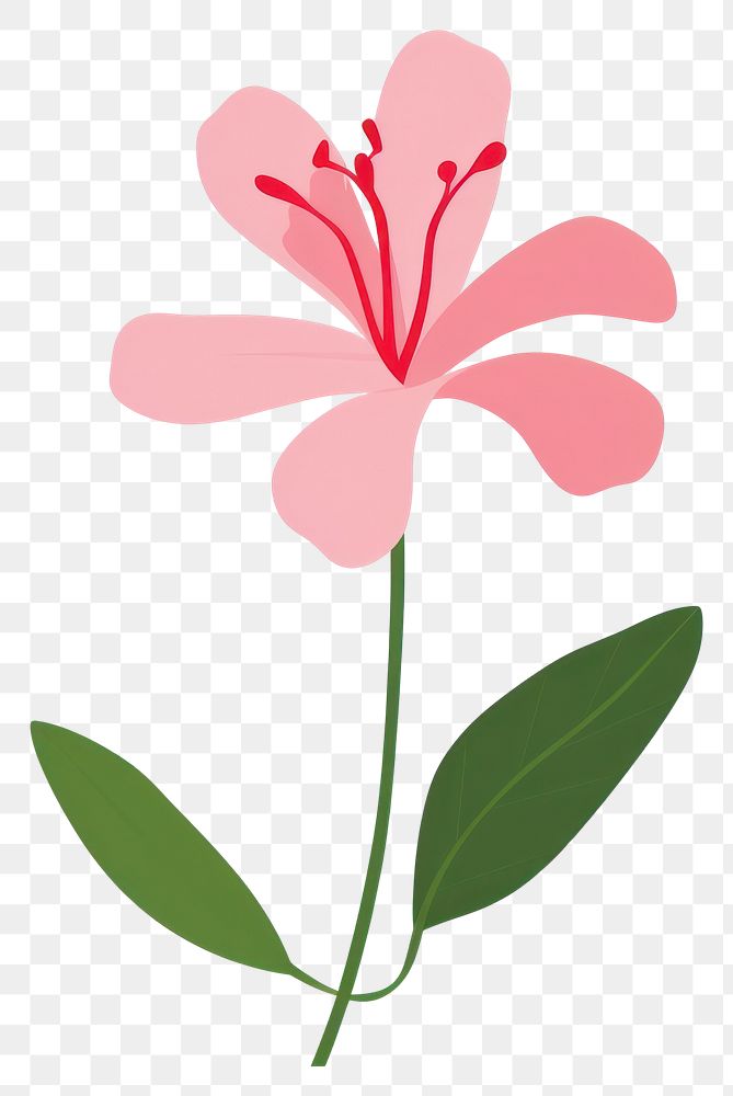 PNG Azalea flower illustration design plant.