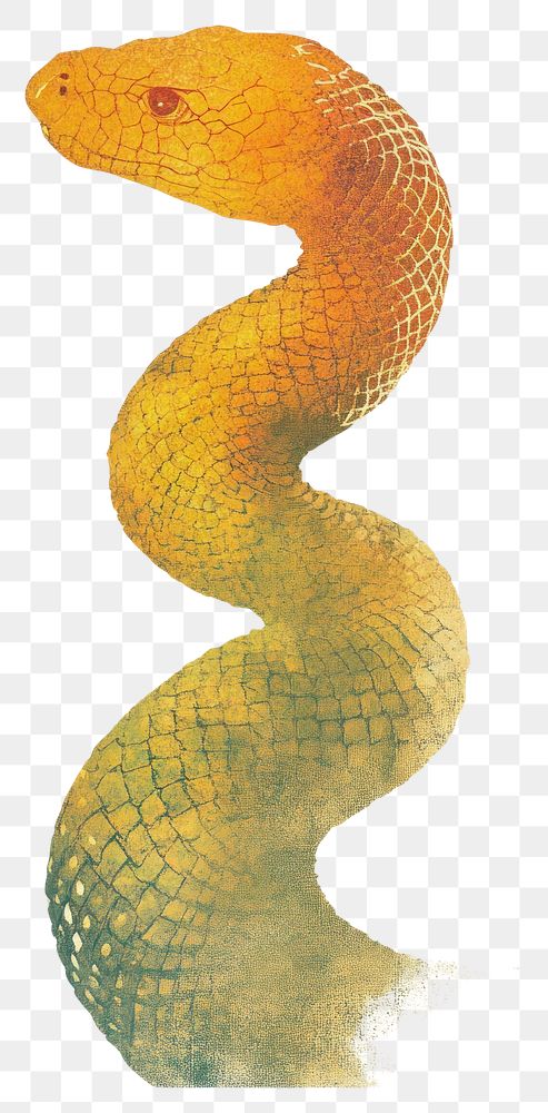 PNG Snake illustration textured artistic.