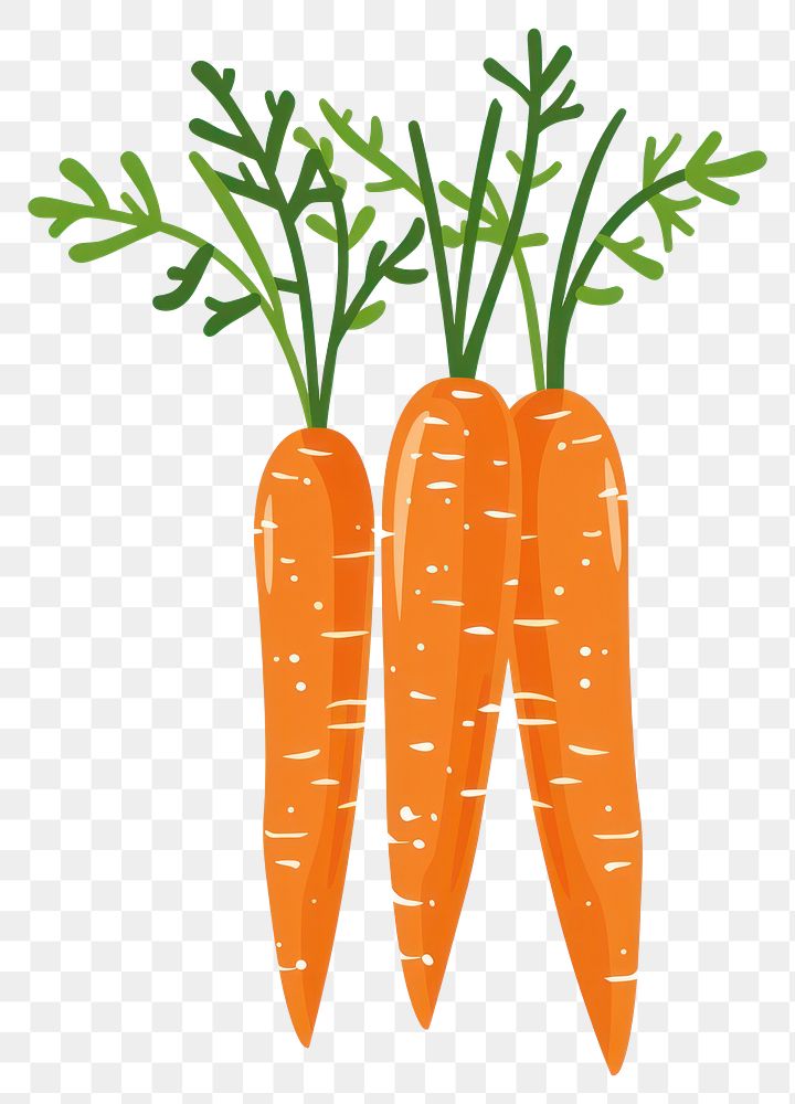 PNG A group of carrots illustration vegetables produce.