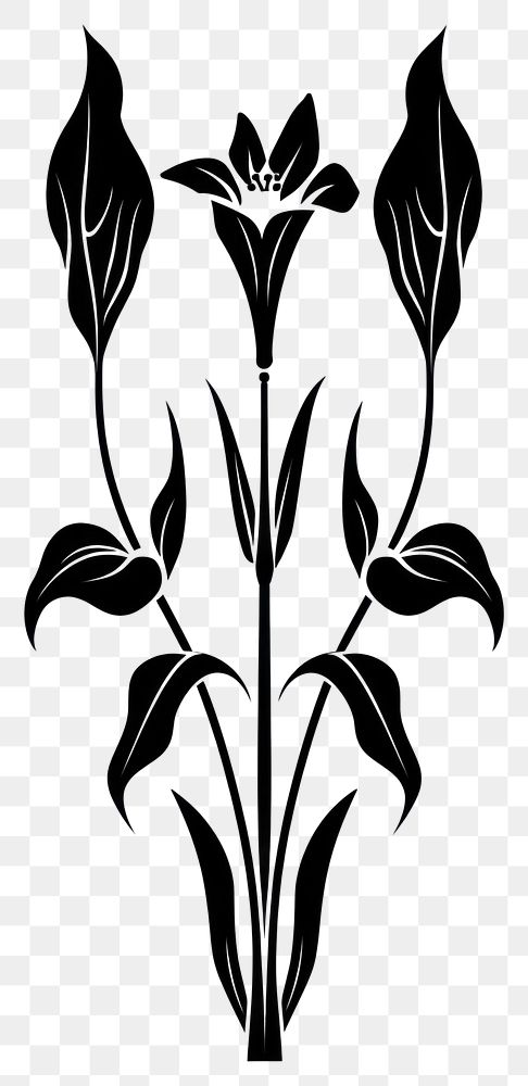 PNG Wedding ornament silhouette art botanical.