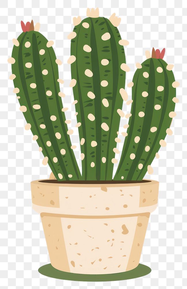 PNG Cactus plant illustration pot.