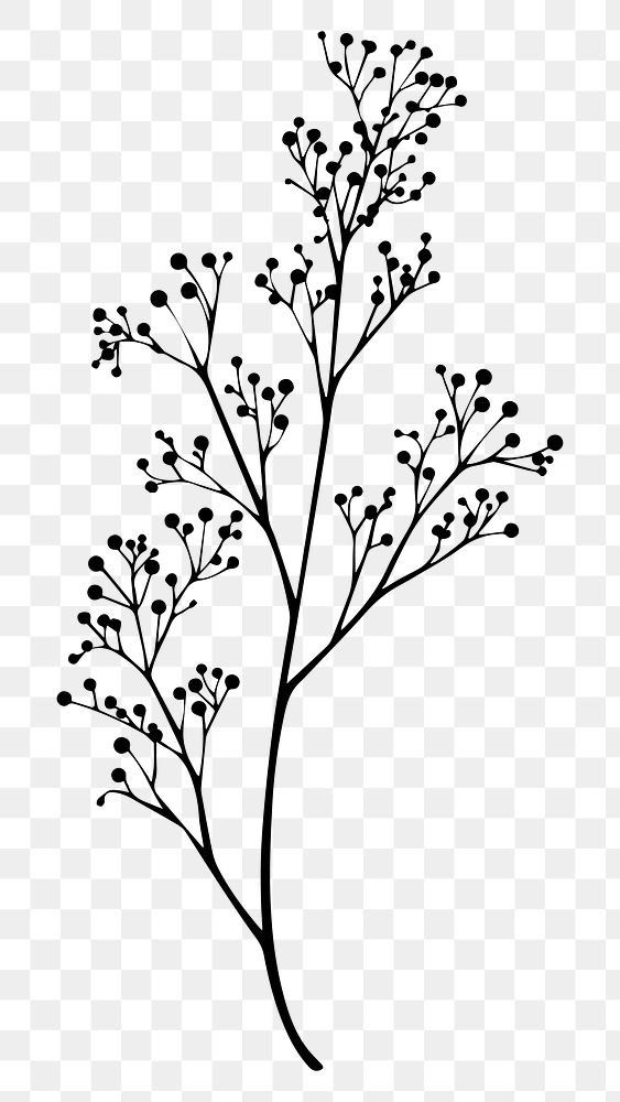 PNG Elegant botanical silhouette illustration, transparent background