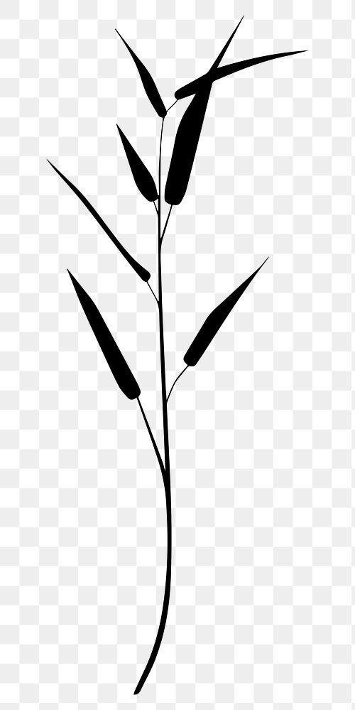 PNG Minimalist botanical silhouette illustration, transparent background