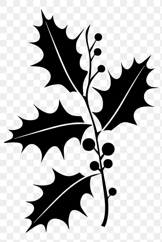 PNG Holly leaves festive decoration silhouette, transparent background