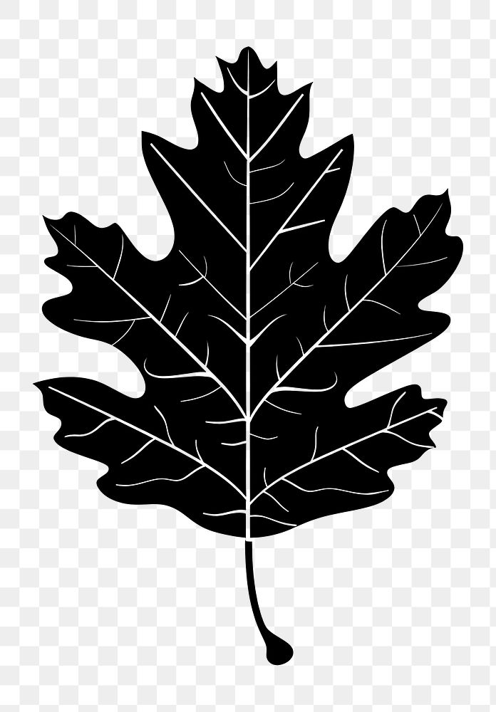 PNG Oak Leaf silhouette leaf illustration.