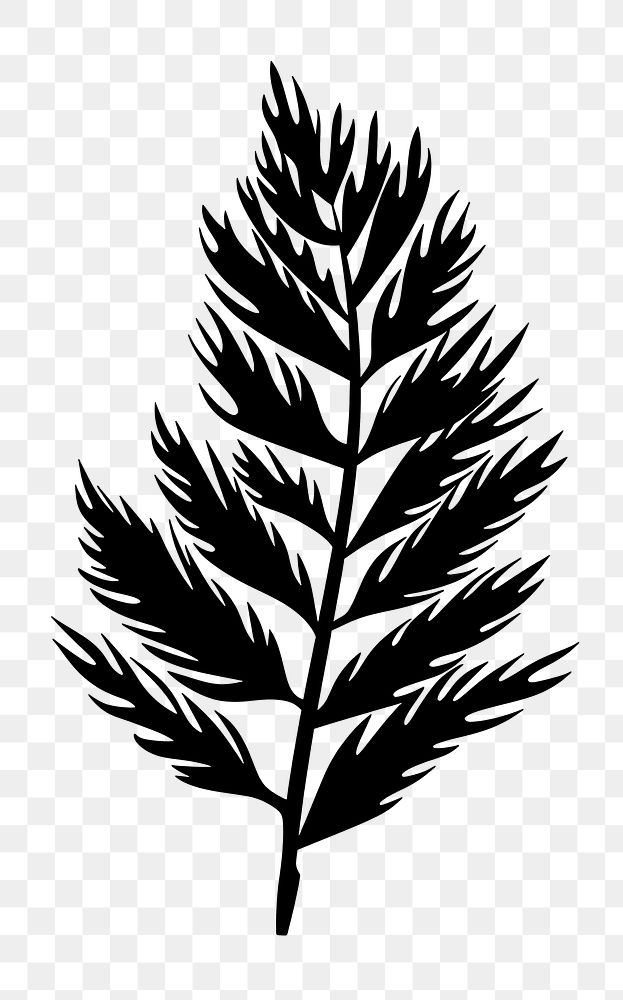 PNG Cedar Leaf silhouette leaf art.