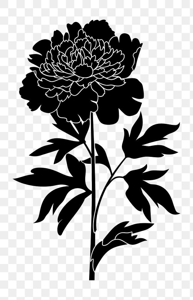 PNG Peony silhouette art illustration.