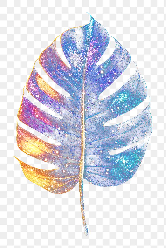 PNG Colorful tropical leaf shape light glitter nature colors night.