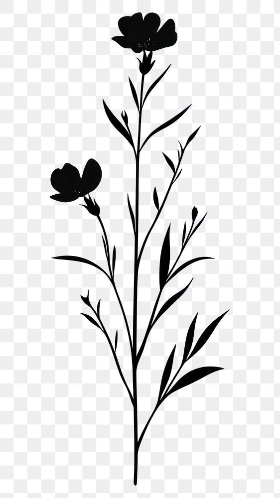 PNG Wild asster flower illustration silhouette minimalist.