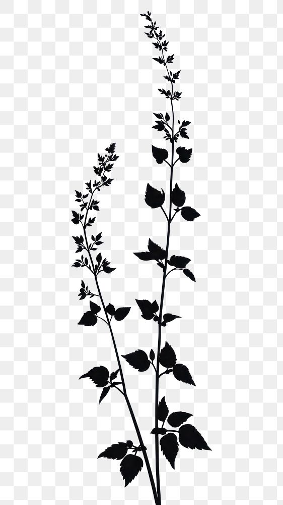 PNG Wild flower Agrimony illustration silhouette minimalist.