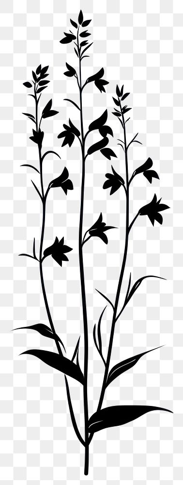 PNG Wild flower Beardtongue illustration silhouette minimalist.