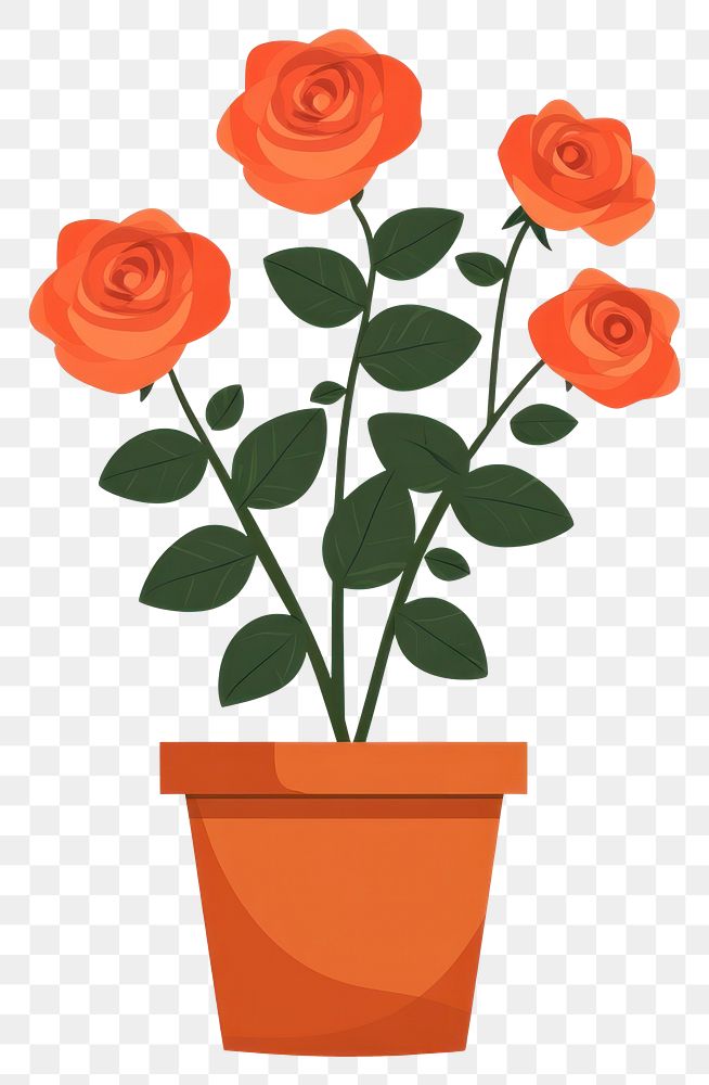 PNG Rose flower potted plant flowers illustration rose flowers.