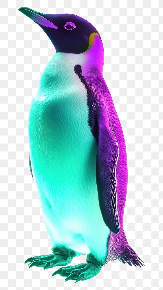 PNG Penguin Neon rim light illustration colorful creative.