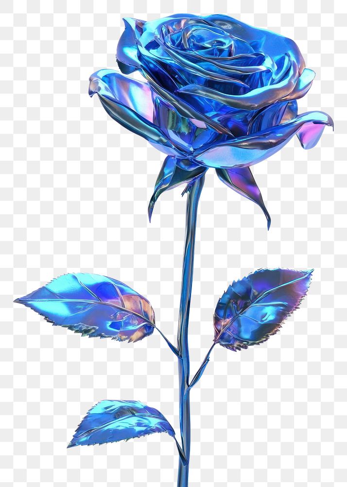 PNG Blue rose flower blue iridescent.