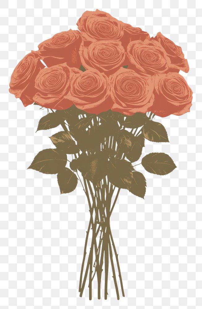 PNG Bouquet of roses illustration flowers art.