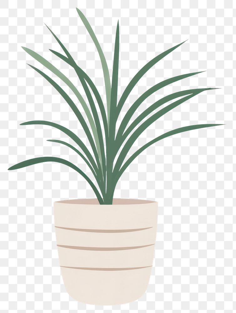 PNG Potted indoor plant illustration minimalist simple.