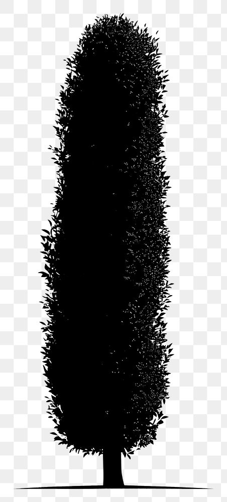 PNG Hedge tree silhouette illustration black.