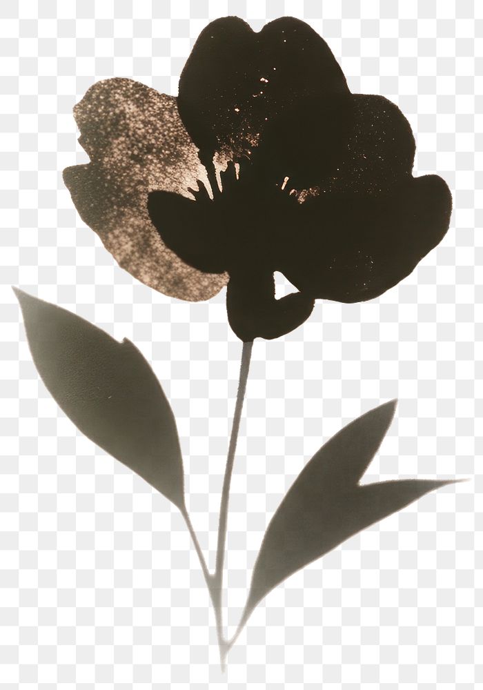 PNG Cute flower silhouette simple black.