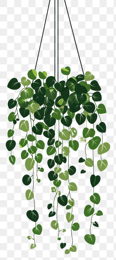 PNG String of Turtles plant illustration leaves leaf.